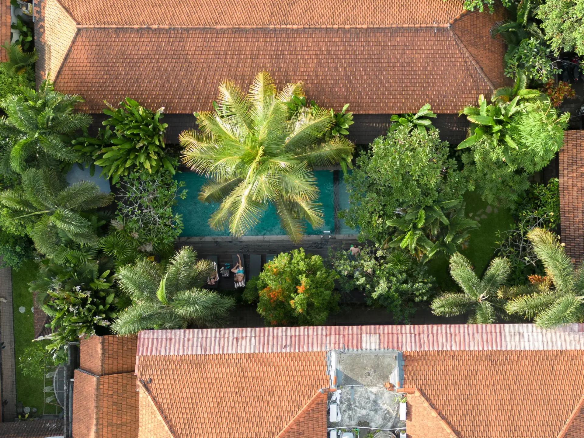 Ubud Bali Hotel Eagle Eye View